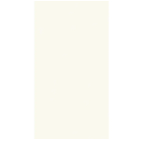 REVEST. 32X60 TRADIZIONALE BIANCO RET BIANCOGRES