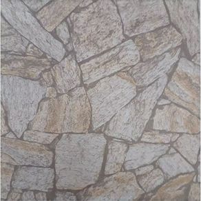 44629