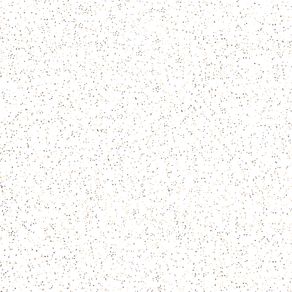 PISO-46X46-ICAPUI-BRANCO-CERBRAS-1